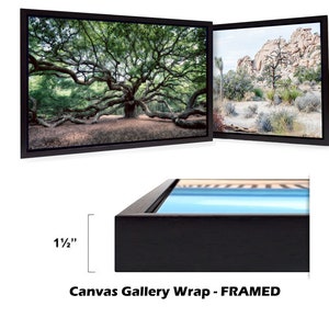 May include: A framed canvas gallery wrap featuring two images. The left image shows a large oak tree with sprawling branches. The right image shows a desert landscape with a rocky outcropping and a few trees. The frame is black and has a 1 1/2 inch wide border.