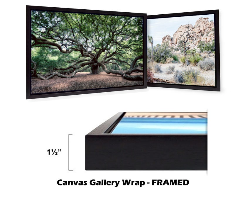 May include: A framed canvas gallery wrap featuring two images. The left image shows a large oak tree with sprawling branches. The right image shows a desert landscape with a rocky outcropping and a few trees. The frame is black and has a 1 1/2 inch wide border.