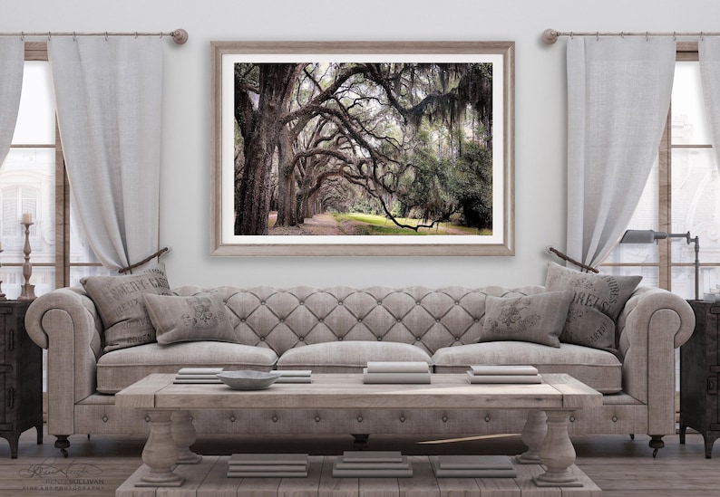 May include: A framed photograph of a path lined with moss-draped oak trees. The trees are in a forest setting with a green grassy area in the background. The photograph is in a light wood frame.