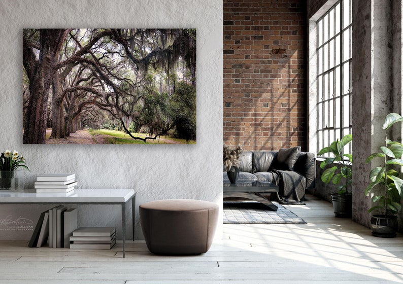 May include: A framed photograph of a path lined with trees draped in Spanish moss. The photograph is hanging on a white wall in a modern living room with a leather sofa, a coffee table, and a potted plant.