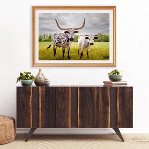 Bulls Cows Livestock: Texas Longhorns Fine Art Photo, Rustic Cowboy Decor | Canvas, Metal, Paper Prints | Multiple Sizes image 5