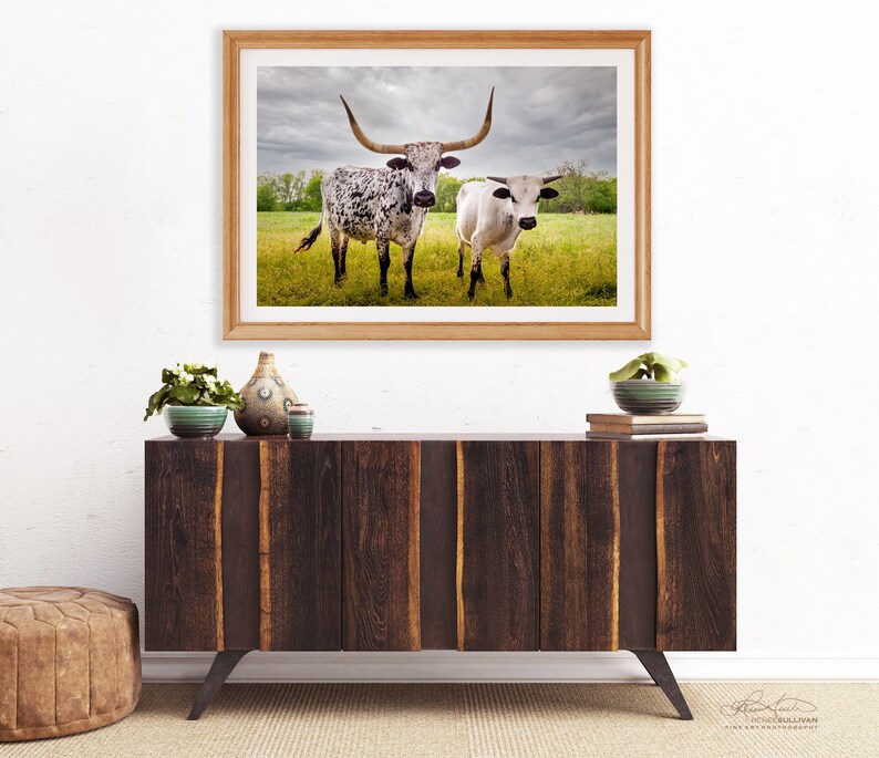 Bulls Cows Livestock: Texas Longhorns Fine Art Photo, Rustic Cowboy Decor | Canvas, Metal, Paper Prints | Multiple Sizes image 5