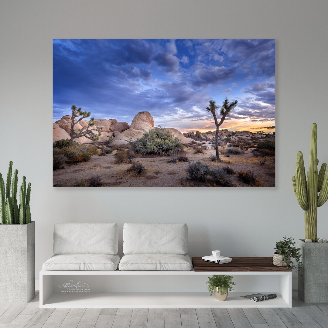 iCanvas Parque Nacional Joshua Tree de Dan Meneely