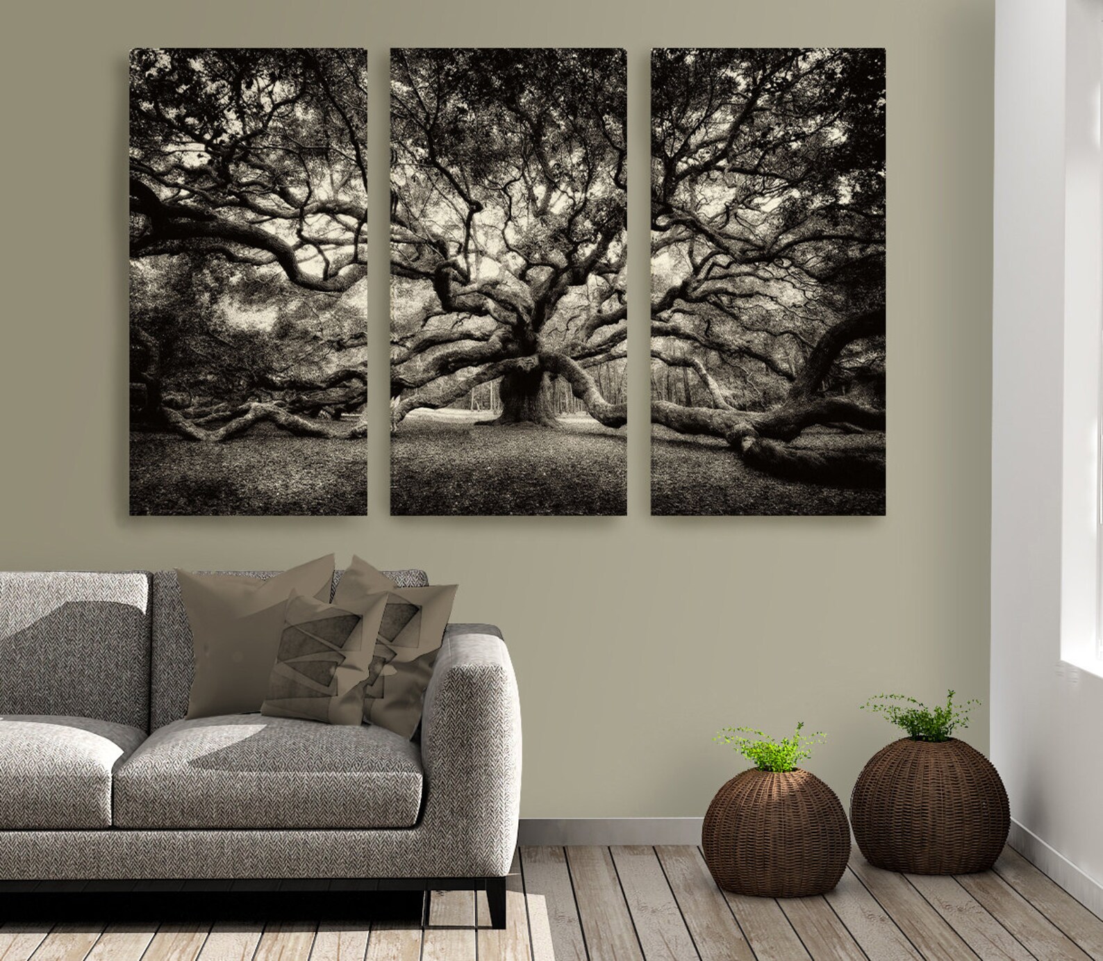 Angel Oak Tree/canvas Triptych/extra Large Wall Decor/fine Art Etsy