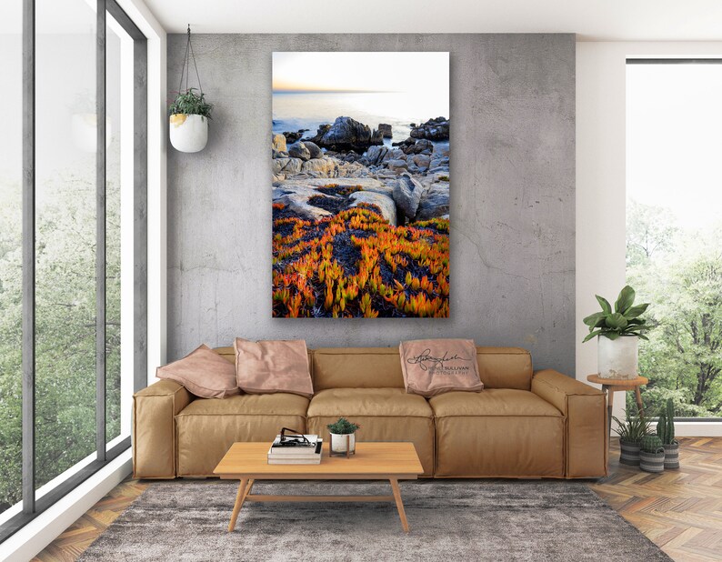 California Coast/Nature Landscape/Fine Art Photography/17 Mile Drive/Pebble Beach Photo/Sm to Oversized Wall Decor/Metal,Canvas,Paper Prints image 3
