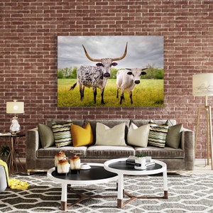 Bulls Cows Livestock: Texas Longhorns Fine Art Photo, Rustic Cowboy Decor | Canvas, Metal, Paper Prints | Multiple Sizes image 4