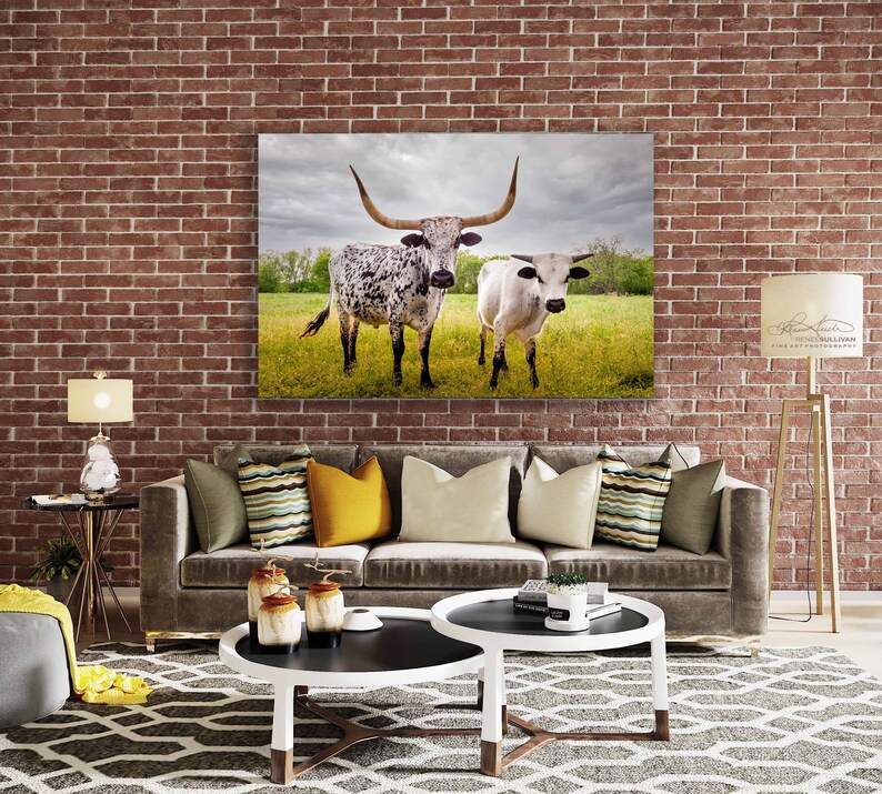 Bulls Cows Livestock: Texas Longhorns Fine Art Photo, Rustic Cowboy Decor | Canvas, Metal, Paper Prints | Multiple Sizes image 4