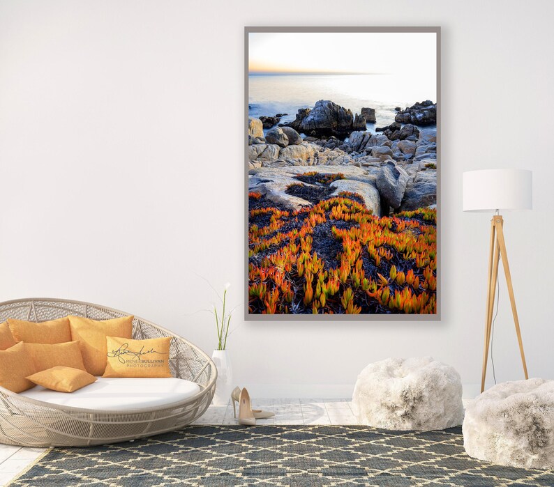 California Coast/Nature Landscape/Fine Art Photography/17 Mile Drive/Pebble Beach Photo/Sm to Oversized Wall Decor/Metal,Canvas,Paper Prints image 1