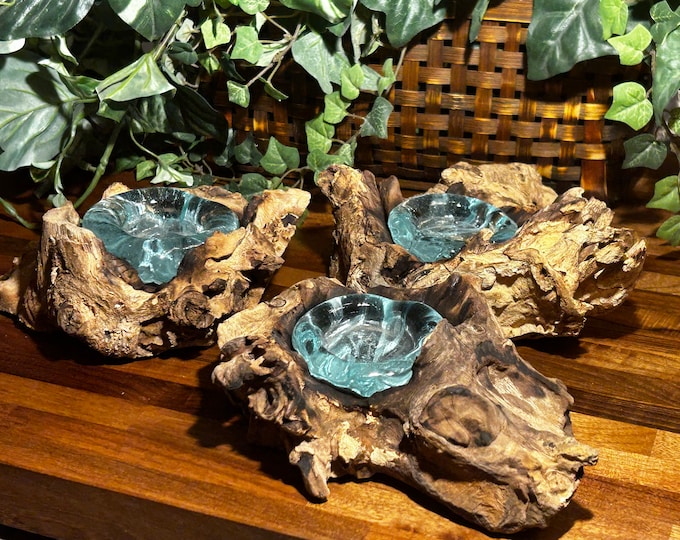 Glass Bowl Molded to Wood Molten Glass Bowl Driftwood Terrarium Hand