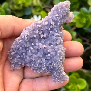 Grape Agate Botryoidal Amethyst Cluster from Indonesia : A Stunning Natural Mineral Specimen .  Modern Minimalist Gift or Home Decor !