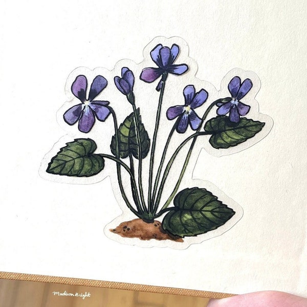 Common Blue Violets - Viola Sororia - Clear Waterproof Vinyl Sticker