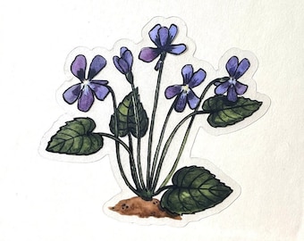 Common Blue Violets - Viola Sororia - Clear Waterproof Vinyl Sticker