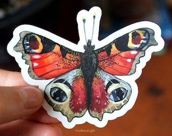 Peacock Butterfly Illustration - Clear Waterproof Vinyl Sticker