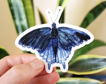 Pipevine Swallowtail Butterfly Illustration - Clear Waterproof Vinyl Sticker