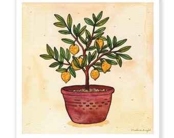 Little Lemon Tree Illustration - Archival Watercolor 6x6 Print