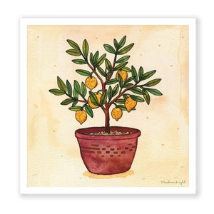 Little Lemon Tree Illustration - Archival Watercolor 6x6 Print
