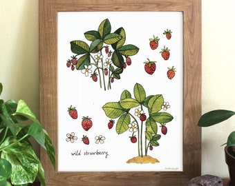 Wild Strawberry Study Watercolor Illustration - Fragaria Vesca - Archival 8x10 Art Print