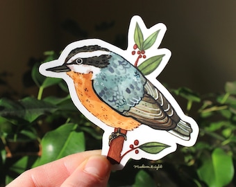 Red-Breasted Nuthatch Illustration - Clear Waterproof Vinyl Sticker