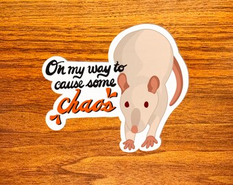 Op de afbeelding: Een witte rat met rode ogen kijkt naar de camera. De rat bevindt zich op een witte sticker met de tekst "On my way to cause some chaos" in zwart en oranje.