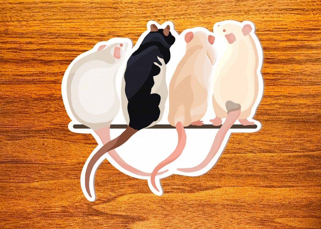 Onlookers - Vinyl Rat Sticker, Group of 4 Pet Rats Sitting Together - Etsy