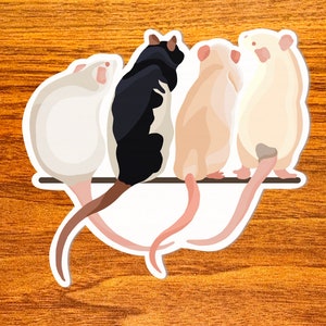 Onlookers - Vinyl Rat Sticker, Group of 4 Pet Rats Sitting Together