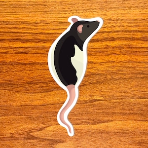 Black Hooded Rat - Vinyl Rat Sticker, Cute Sitting Black Hooded Rat