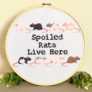 Spoiled Rats Live Here - Cute rat cross stitch pattern for pet rat lovers and crafters. Instant PDF download