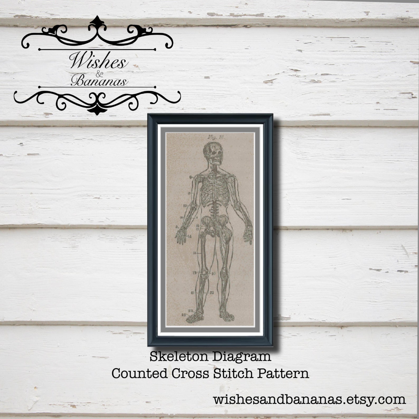 Skeleton Cross Stitch Pattern Skeleton Diagram Vintage - Etsy