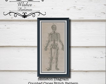 Skeleton Cross Stitch Pattern | Skeleton Diagram | Vintage Illustration | Digital Pattern | Instant Download | PDF | Wishes and Bananas