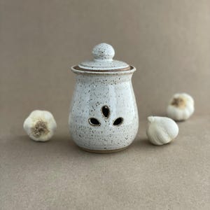 Ceramic Garlic Keeper: Pierced Design, Handmade Kitchen Storage