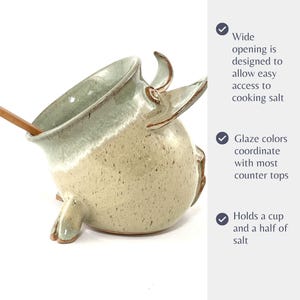 A Seafoam Green Salt Pig with wooden spoon, next to three functional facts:
Wide opening is designed to allow easy access to cooking salt.
Glaze colors coordinate with most kitchen counter tops.
Holds a cup and a half of salt.