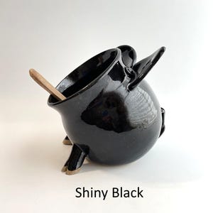A Shiny Black Salt Pig
