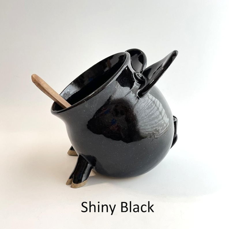 A Shiny Black Salt Pig