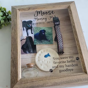 May include: A wooden shadow box memorial for a dog named Moosey Moo. The box includes photos of the dog, a paw print, a collar, and a small glass jar. The text on the box reads "Moose Moosey Moo 02/09/2010-08/15 You were my favorite hello and my hardest goodbye."