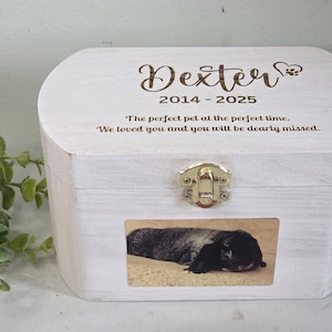 Pet Urn for Rabbit with photos, Rabbit Memorial Urn, personalized  urn for Bunny, guinea pig Urn, Wood ferret Urn, keepsake Box for ashes