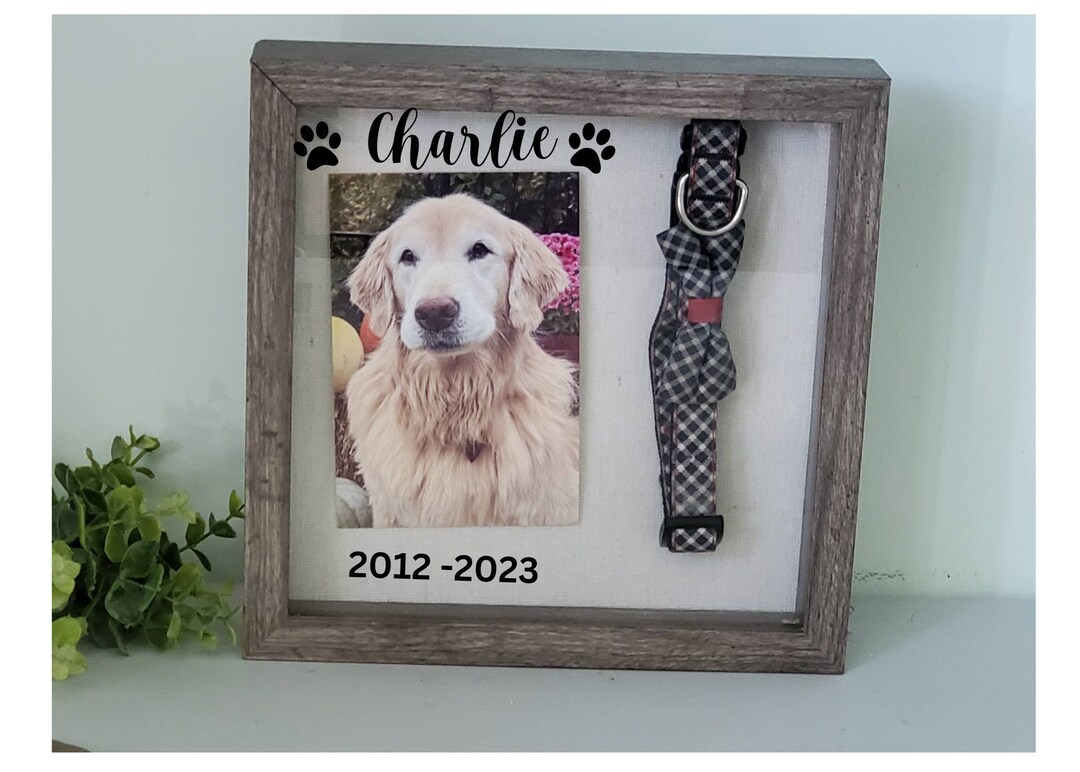 Dog Collar Memorial Shadowbox Frame Pet Memorial Dog Etsy