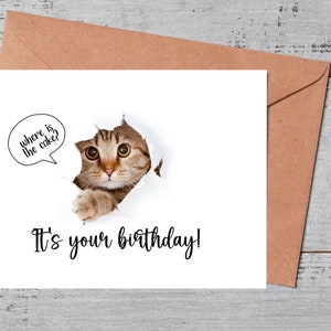 Carte d'anniversaire de chat, carte d'anniversaire d'animal de compagnie, carte pour maman de chat, carte d'anniversaire de chat