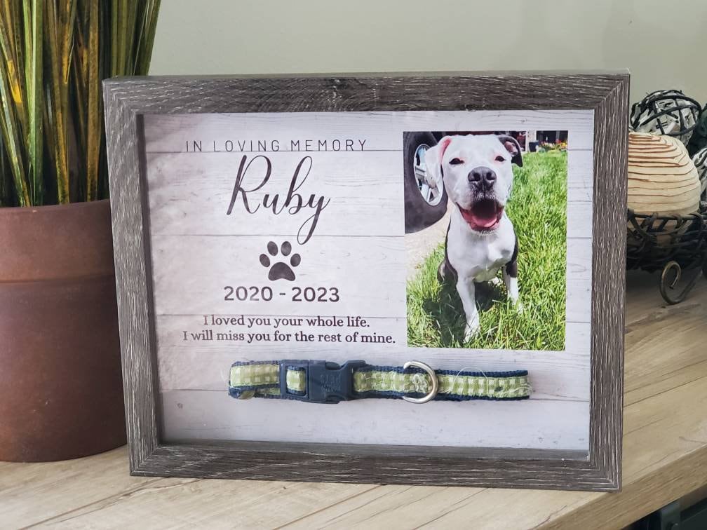 Pet Memorial Frame for Collar Pet Memorial Shadowbox Dog Memorial Dog Collar Holder Loss of Pet Gift Pet Memorial Shadowbox Etsy Canada