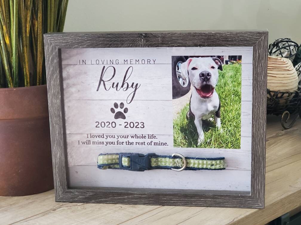 Dog Memorial Stone Personalised Pet Memorial Frame - Photo Frame For Pet Dog Or Cat Collar - Personalized Pet Loss Memorial Bereavement Remembrance Gift Dog Collar Memorial Frame