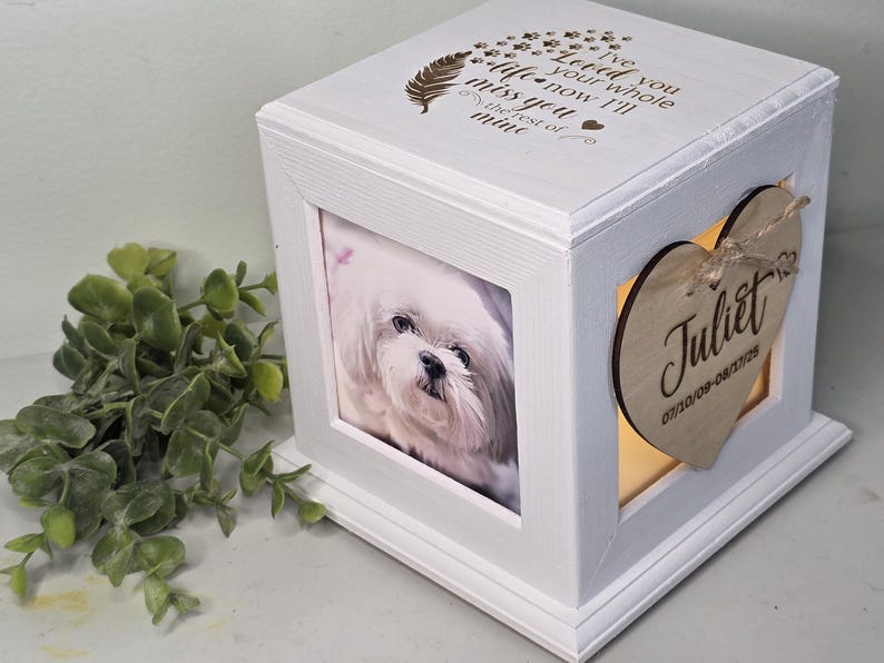 Urna para mascotas, urna para cenizas de mascotas, urna para mascotas con fotos, urna para perros, urna para gatos, urna para perros, urna conmemorativa para mascotas imagen 3