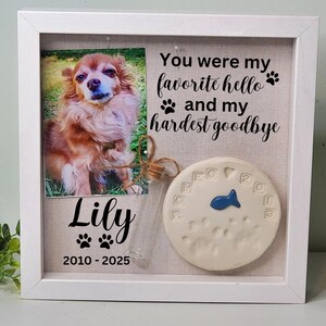 May include: White wooden frame with a photo of a brown and white dog, a paw print with a blue fish, and the text "You were my favorite hello and my hardest goodbye."  The name "Lily" and the dates "2010-2025" are also included.