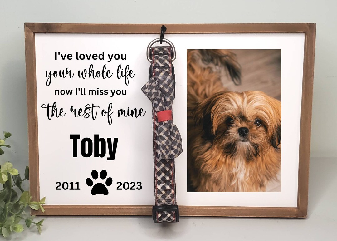 Dog Collar Memorial Frame Dog Memorial Gift for Loss of Dog Etsy