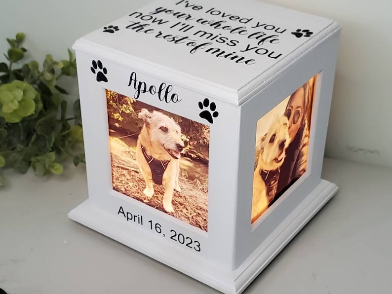 May include: White wooden box with a light inside, featuring two photo slots. The box has a paw print design and the text "I've loved you your whole life now I'll miss you the rest of mine" and "Apollo". The date "April 16, 2023" is also inscribed on the box.