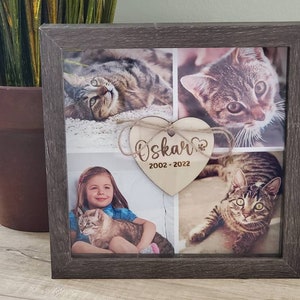 Pet Memorial gift for loss of pet, Dog Memorial frame, Cat Memorial frame, Loss of Pet Gift, pet photo frame, Pet Sympathy Gift