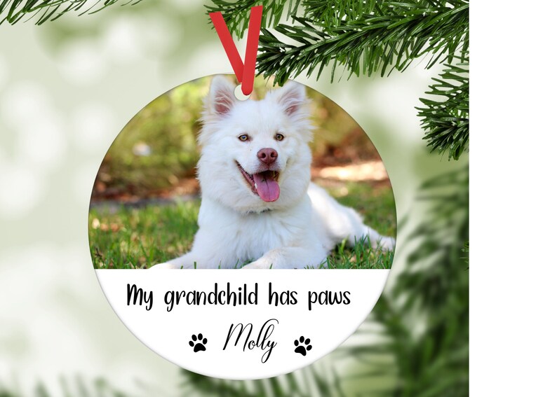 May include: White dog ornament with a photo of a dog and the text "My grandchild has paws Molly" with paw prints on either side of the name.