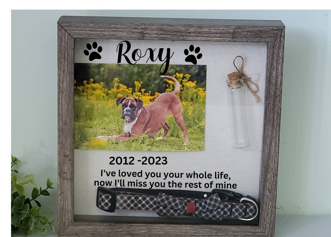 Dog Collar Memorial Shadowbox Frame Pet Memorial Dog Etsy