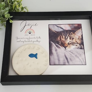 May include: A black framed picture with a white mat. The picture includes a photo of a tabby cat sleeping, a paw print with a rainbow and the text "Josie 2013 - 2023 You were my favorite hello and my hardest goodbye".