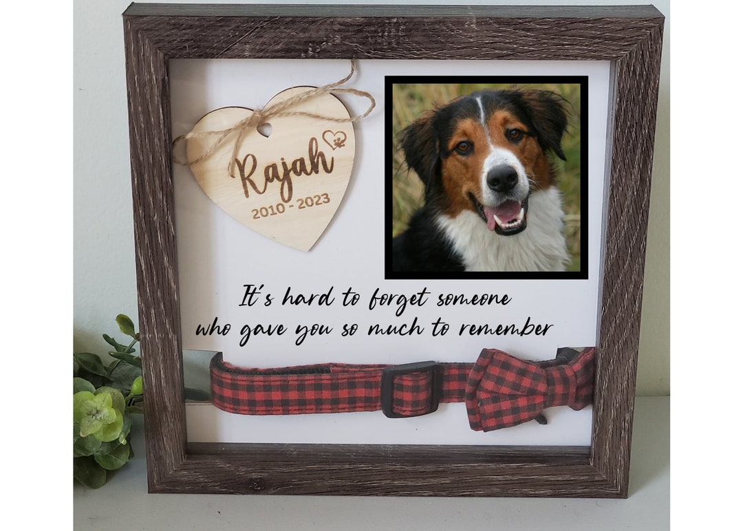Dog Collar Memorial Shadowbox Frame Dog Collar Holder Pet Etsy