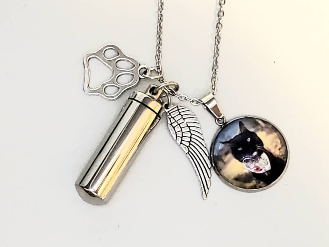 Pet Ashes Jewelry, Dog Memorial Necklace, Cat Memorial Necklace