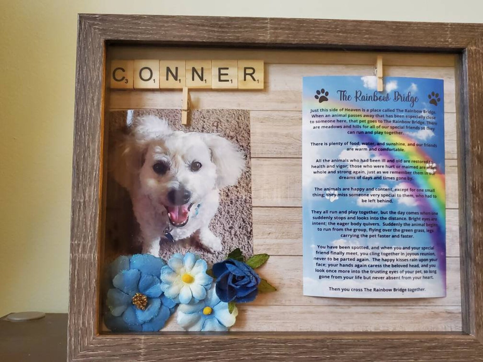 Pet Memorial Shadowbox Dog Memorial Cat Memorial Loss of Etsy